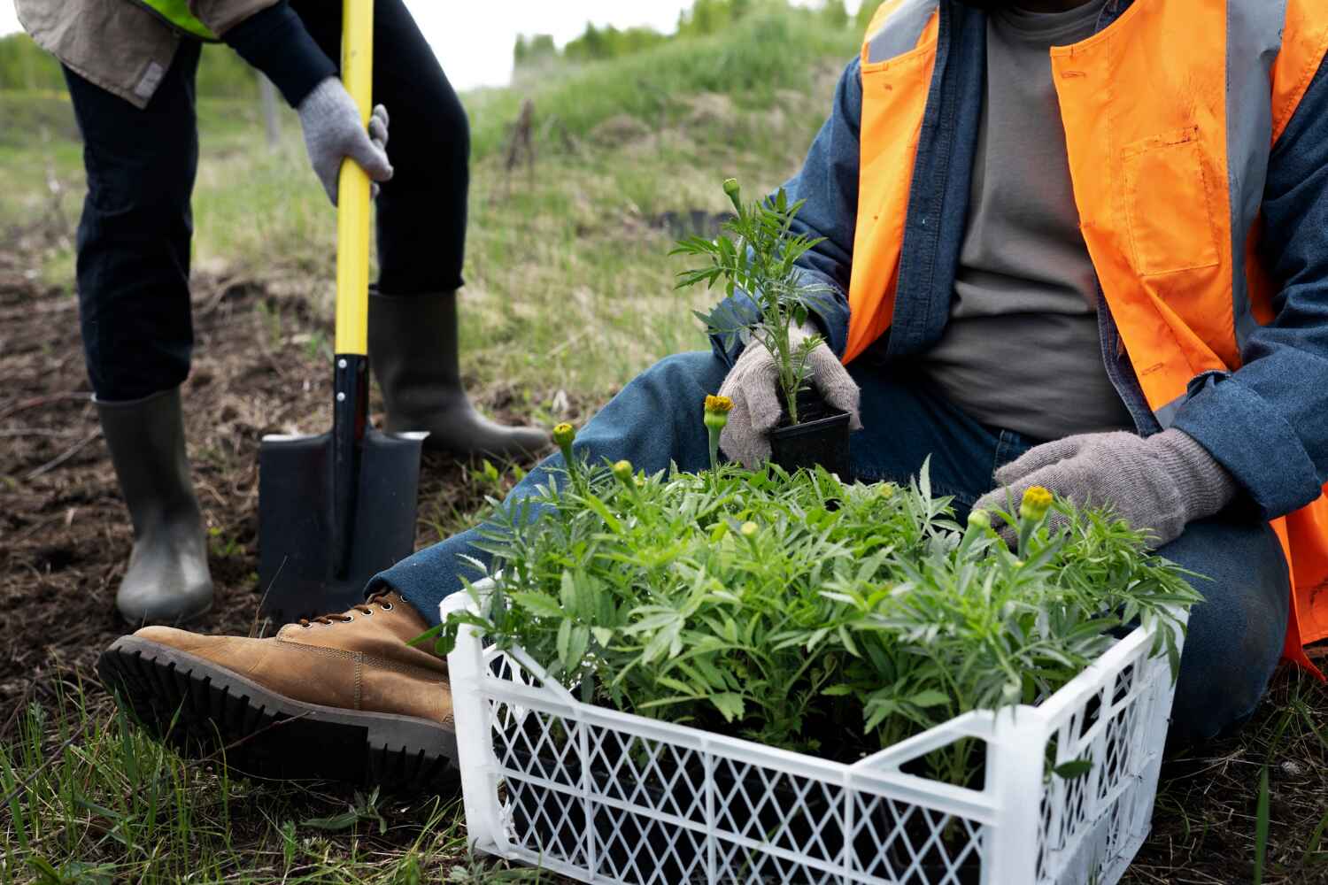 Best Tree Stump Removal  in Baton Rouge, LA